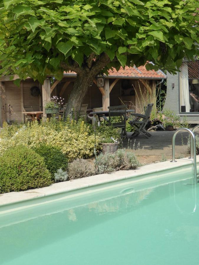 De Epicurist Bed & Breakfast Hasselt Luaran gambar